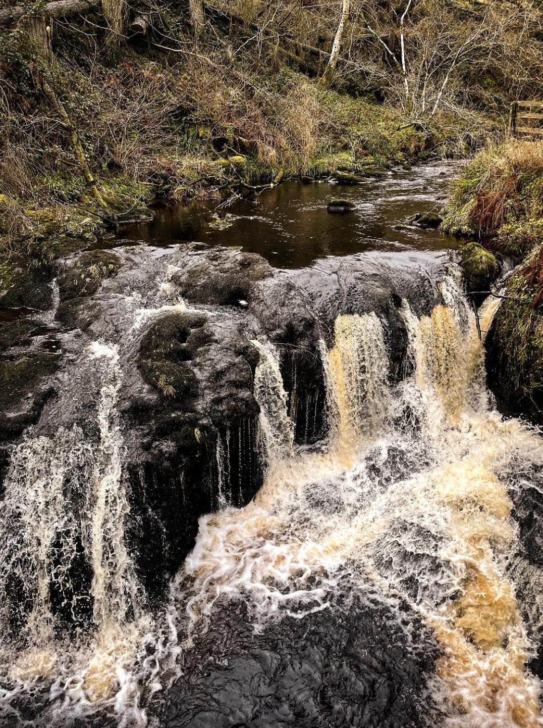 Glenariff Forest Evergreen Lodge Bagian luar foto